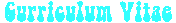 CV